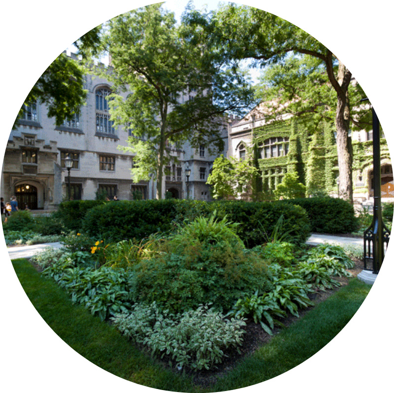 Private and Ivy League